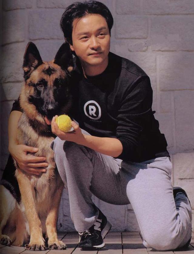 张国荣生前最爱之一爱犬bingou-德牧