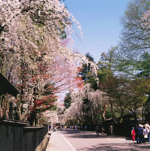 日本深度游:历史悠久风景如画的日本东北地区