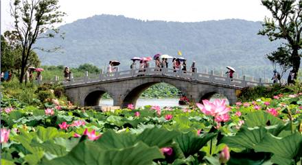 蔡甸索河镇丁湾村