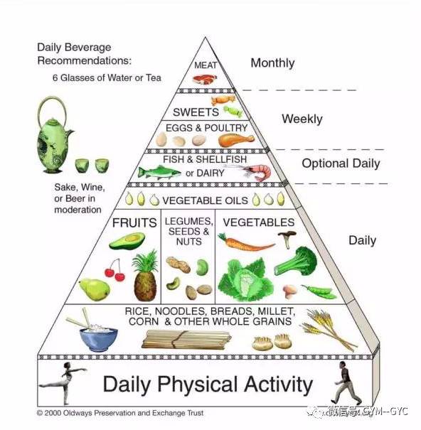【运动营养】健康饮食金字塔