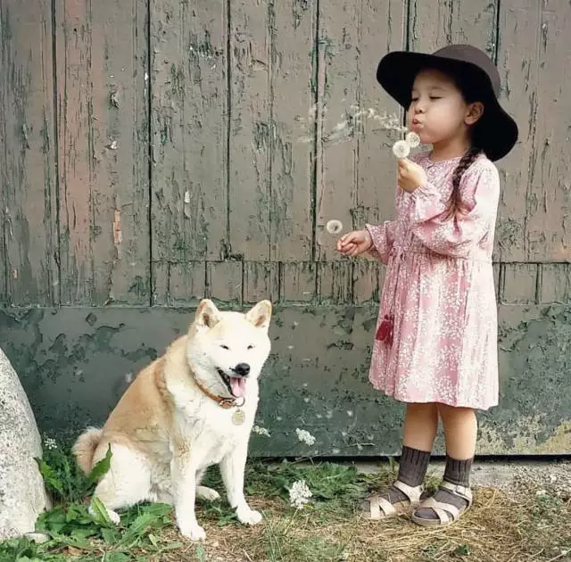 小孩和狗狗,能不能在一起?