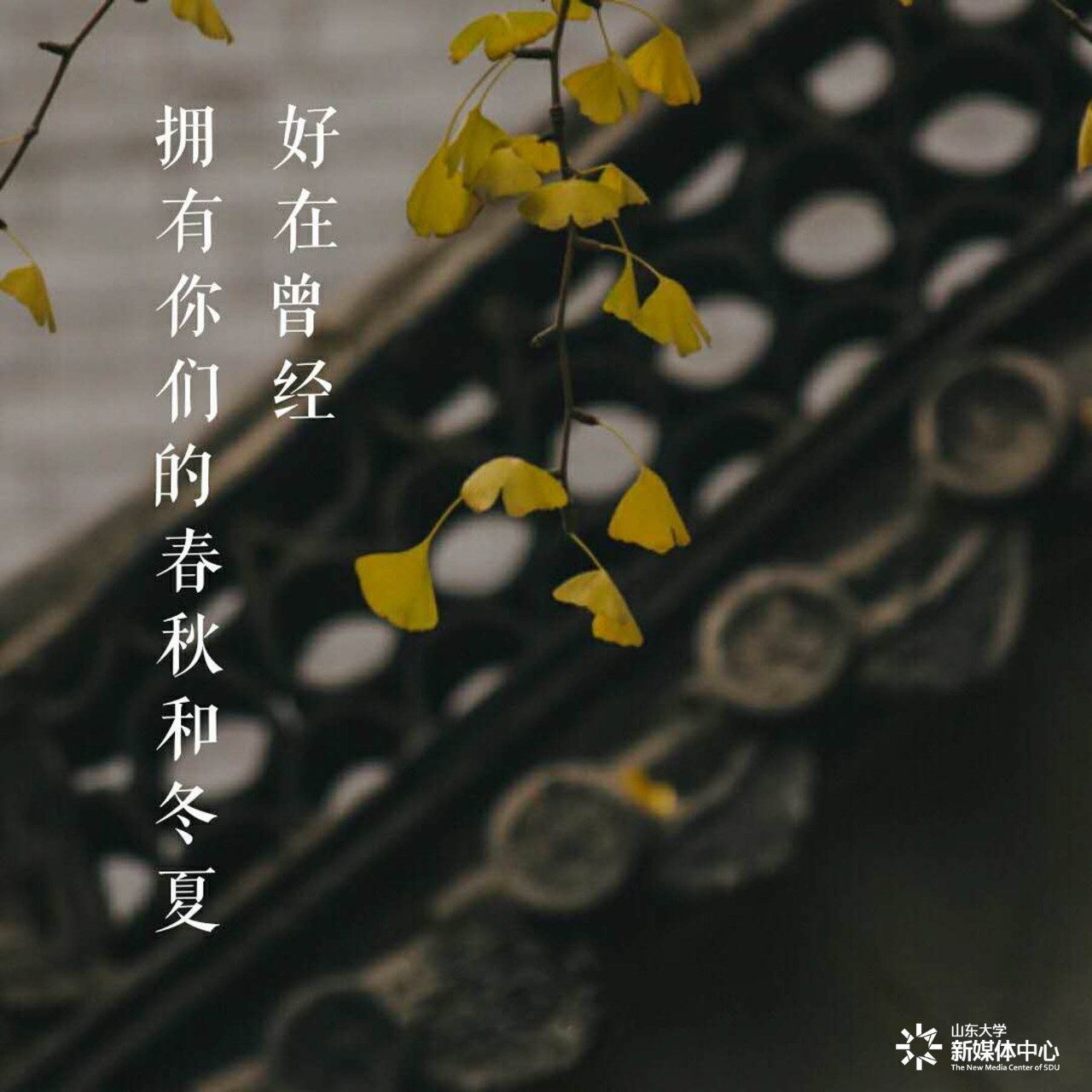 《那些花儿》朴树