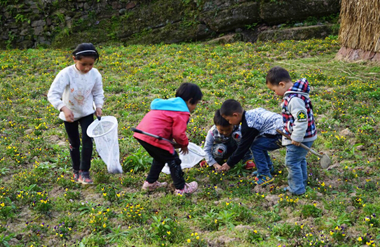 图红石林村的小孩们在花丛中捉蝴蝶