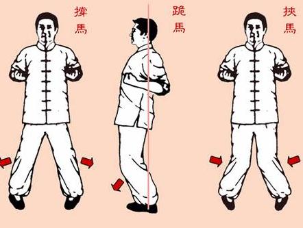 咏春拳的结构就是以二字钳阳马为基本要求的身形姿势.