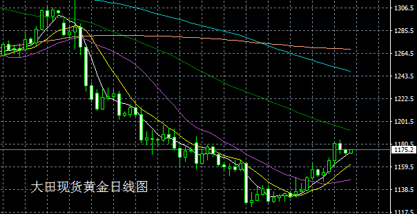 羊首领:本周黄金走势分析(2017.1.9)