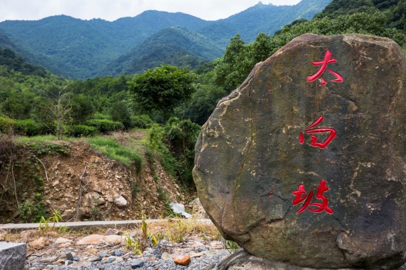 其它 正文  ▲太白坡森林游步道 北仑第一高山——太白山上的太白坡