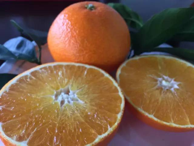 崇明果农花十年试种柑橘高级品种,单价可抵一