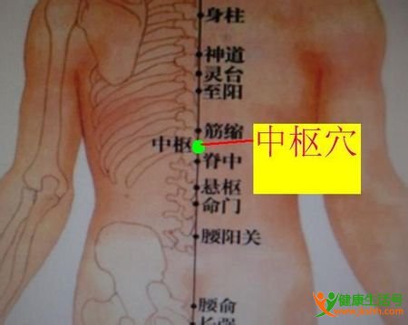 中枢穴擅治胃脘痛胆囊炎腰背疼痛呕吐等