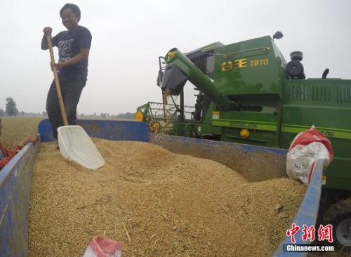 粮食不安全人口_程国强 加快实现国家粮食安全管理现代化