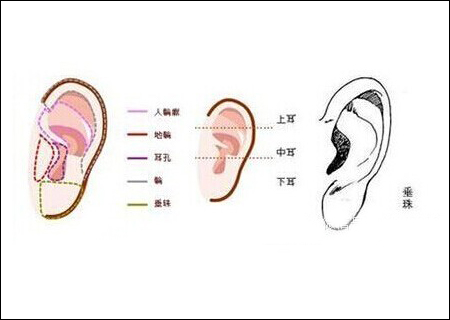 耳什么腮成语_耳下腮部有肿块是什么