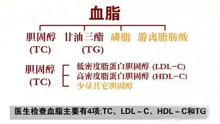 由于脂肪多半不溶于水,所以在血液中,它们会与蛋白结合,生成脂蛋白.