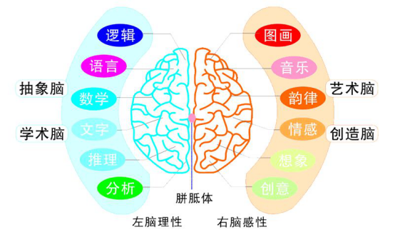 记忆法的原理_人人都可以学会的超级记忆法(3)