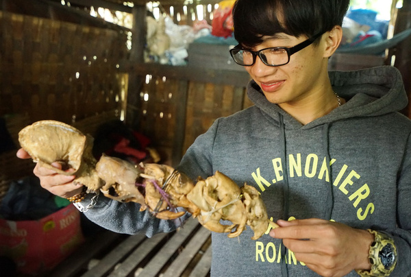 越南一贫困村庄猎杀猴子充饥,家家摆青花瓷