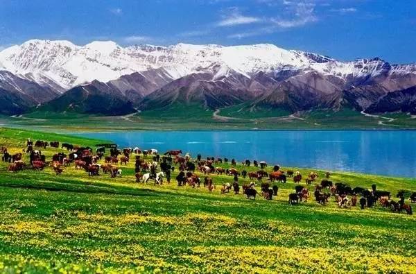 新疆本地人公认最值得去的20个地方,又在诱惑