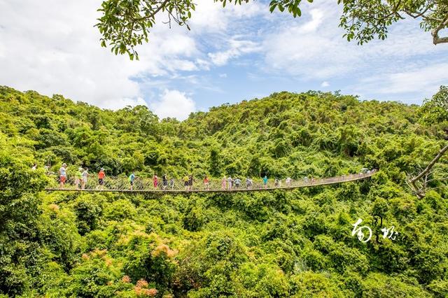 亚龙湾热带天堂森林公园