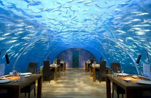 全球最奇特的餐厅，用餐能出新高度！