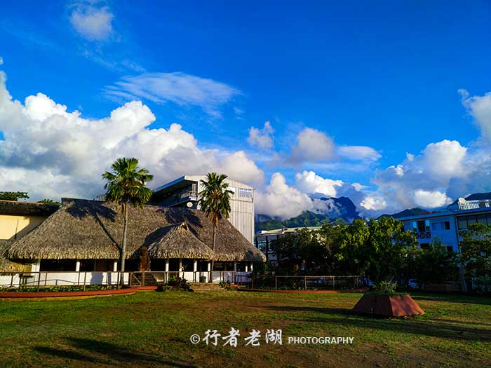 市政厅酒店院子里有个半开的睡莲池,边上是一个波利尼西亚式小屋,目光