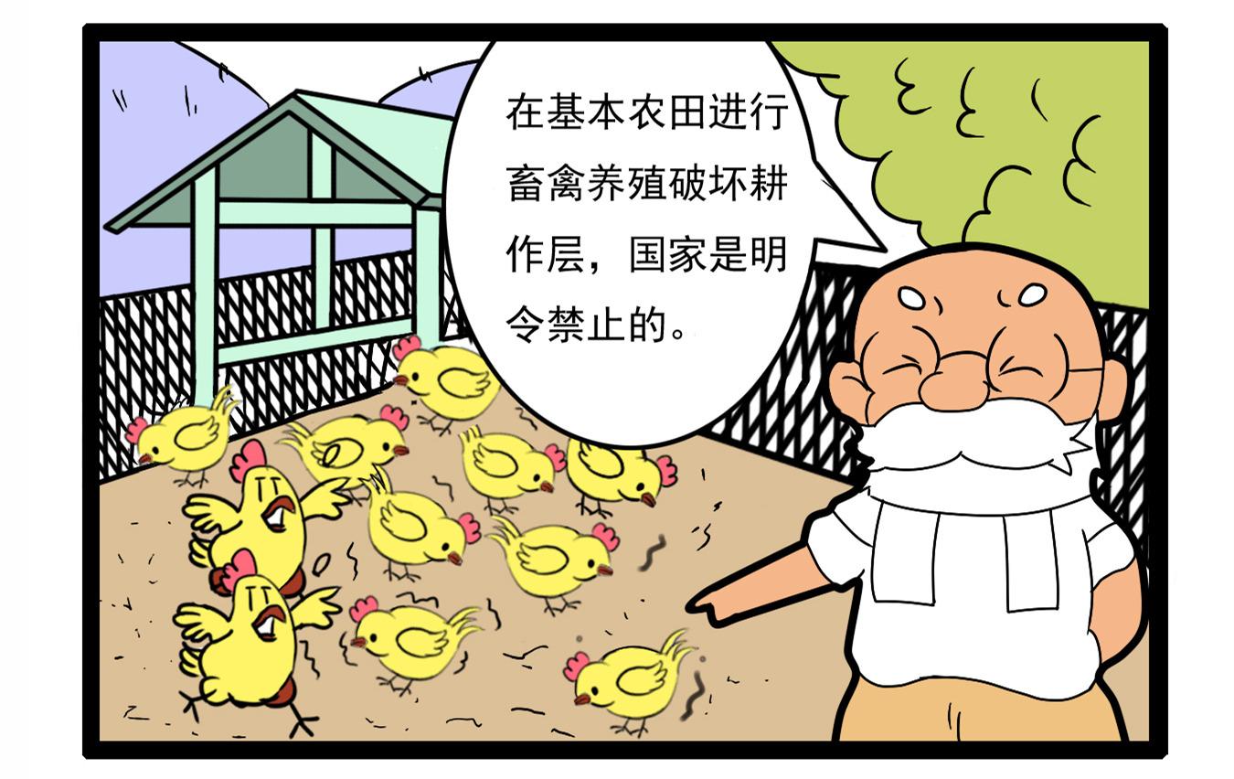 阿土博系列漫画《耕地保护之基本农田禁止养殖》