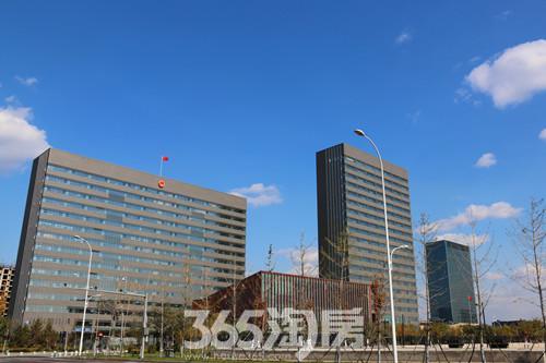 新沈阳市政府 实景