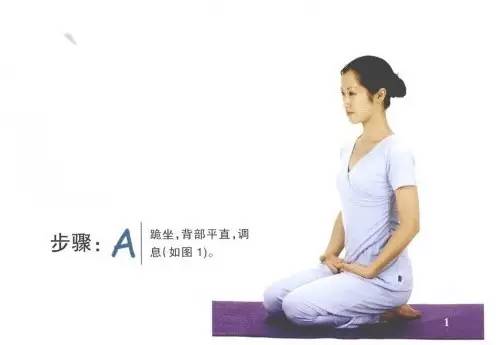 瑜伽体式——金刚坐,身体如金刚一样坚强不动修炼坐功而名.
