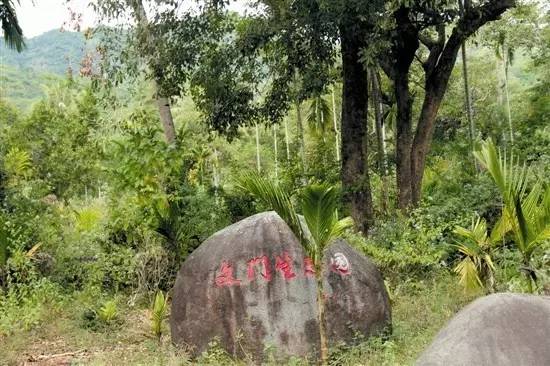 国家住建部公布首批绿色村庄名单,三亚中廖村,文门村入选!