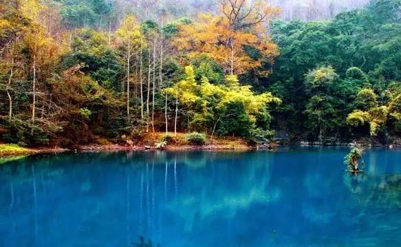 贵州一年四季的美景,每走一步都是仙境!