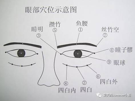 先给大家看一张眼部穴位示意图