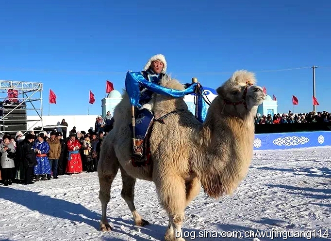 冰天雪地中的内蒙苏尼特骆驼文化节(图)