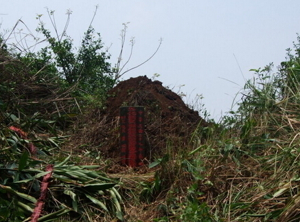 梵心老师:怎么选墓地才能旺后代?