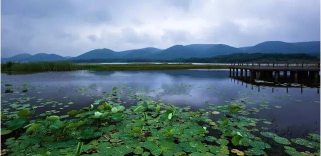 佳县经济gdp多少_佳县白云山(2)