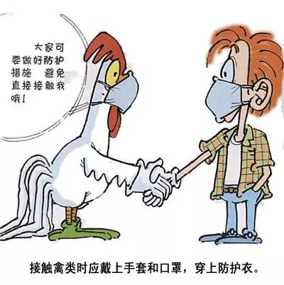 h7n9禽流感防控知识,您需要知道!