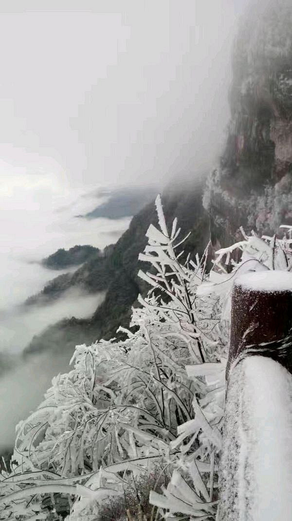 各景区迎来2017年第一场雪~ 彭水摩围山更是现雾凇雪景奇观!