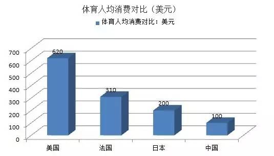 体育人口市场调查_中国体育培训市场调研报告(2)