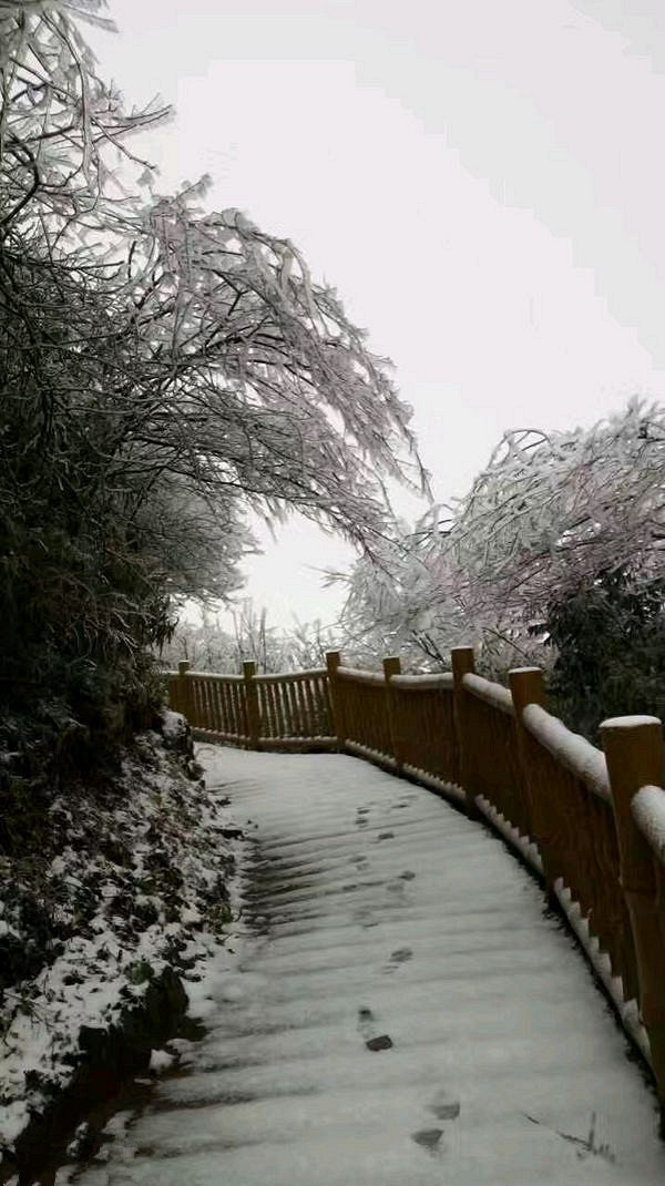 各景区迎来2017年第一场雪~ 彭水摩围山更是现雾凇雪景奇观!