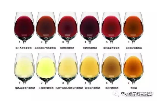 教你如何识别葡萄酒的颜色