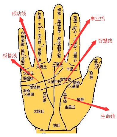 com/因为这三条线在手掌中一目了然,最为突出,最为明显,所以,大家