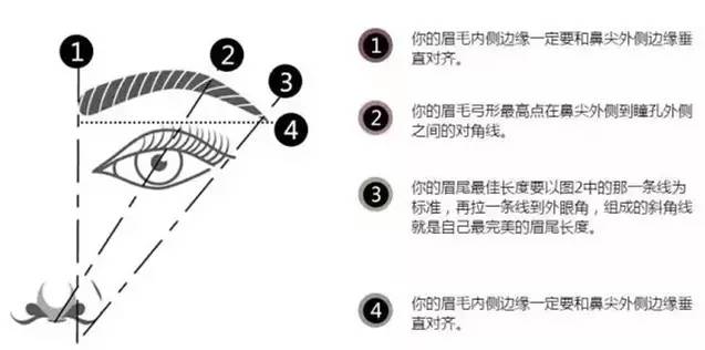 什么样的眉毛是美的?