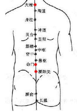 灵台穴:神志病项强气喘支气管炎肺炎胆道蛔虫等