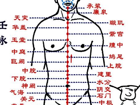 tag信息列表 任脉