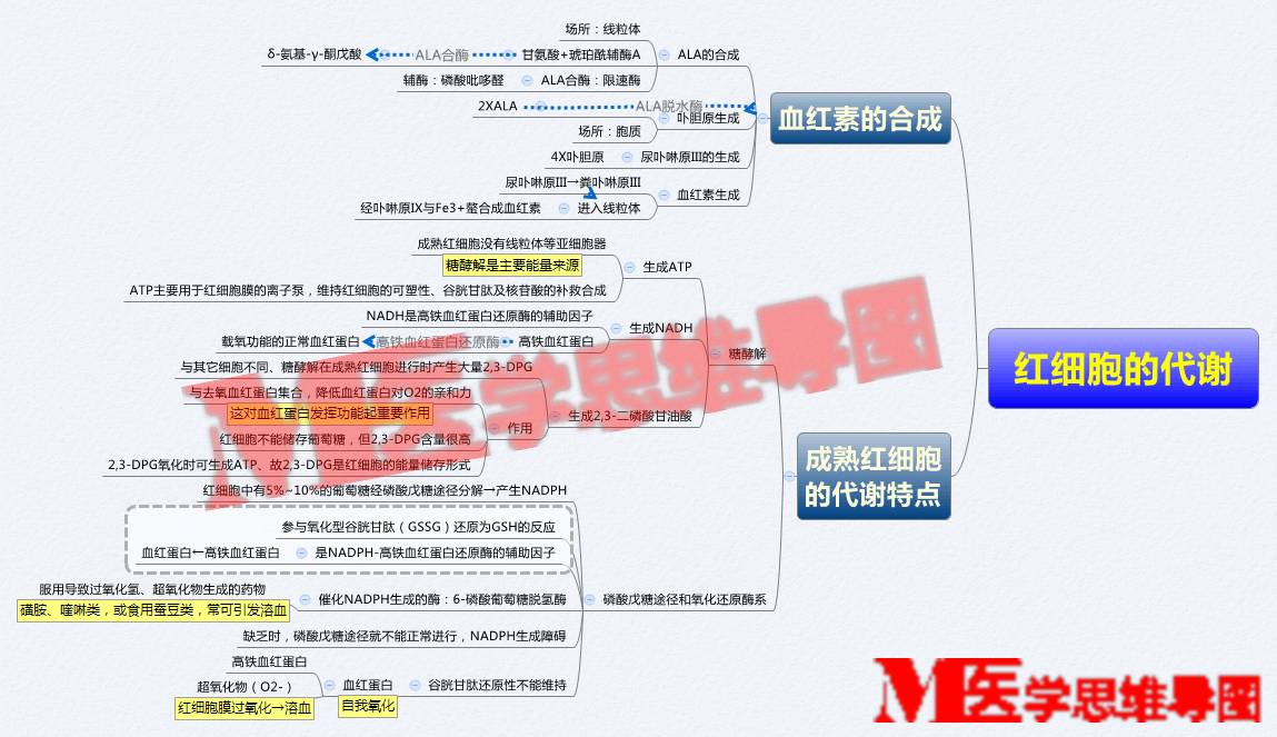 第一讲 细胞代谢