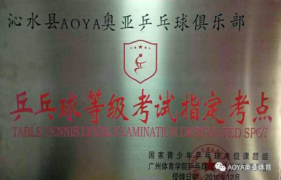 AOYA奥亚乒乓球俱乐部寒假 全国青少年乒乓球