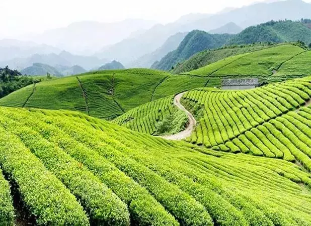 黔东南的温暖阳光与凉爽雨季