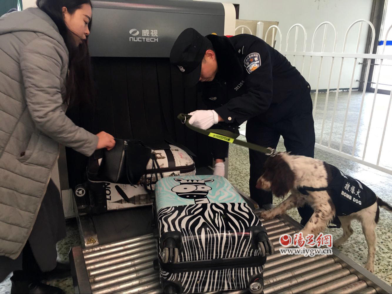 火车站安检处巡逻的警犬,在民警的指令下,对旅客的行李进行检查,一旦