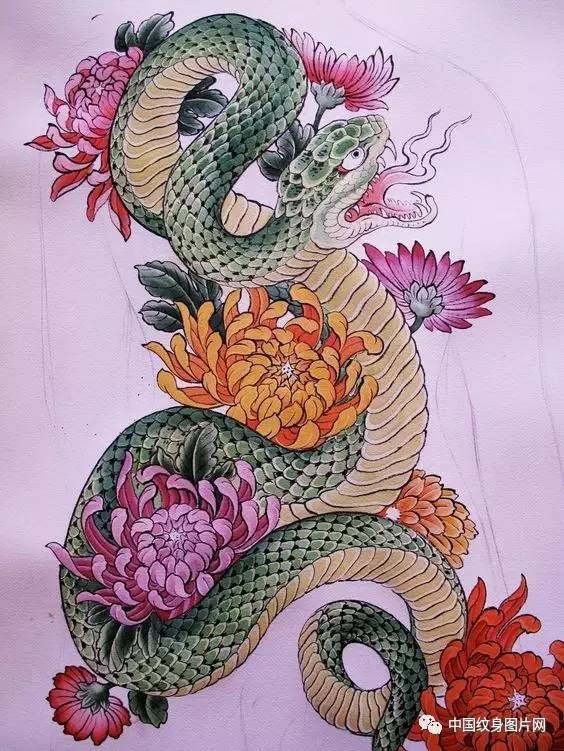 纹身素材:蛇