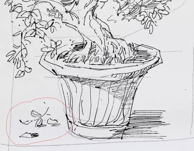 罗克中手绘教程:别人画里漂亮的树,表现方法全在这里!