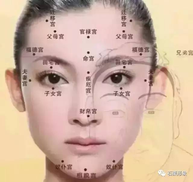 鼻子是面部的重要组成部分,面相学中认为鼻子各个部位代表着不同的