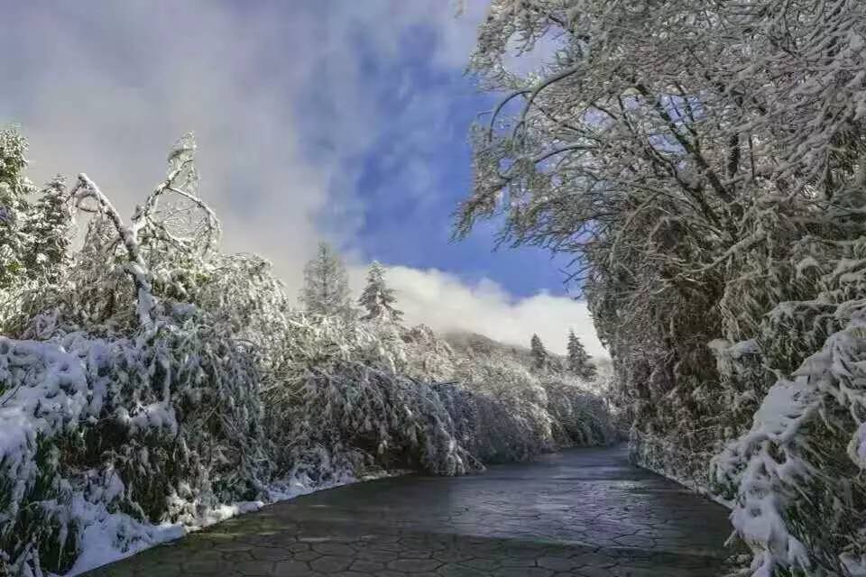 赏雪地点:彭州市通济镇天台山 宝山太阳湾