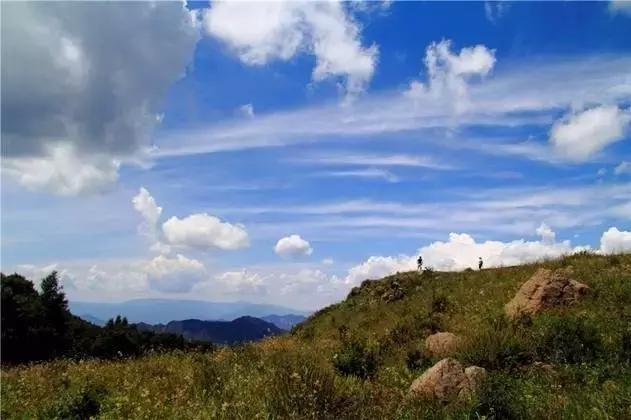 群主在问,雨后天气很好,明天有没有想去百花山,看那高山草甸,看到白桦