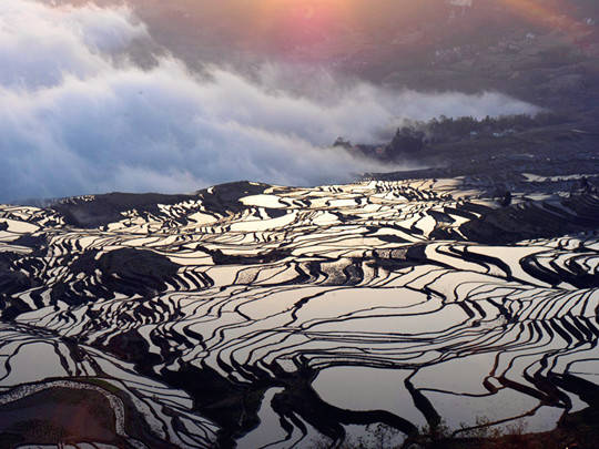 元阳梯田每年12月灌水,到了第二年1月正是最漂亮的时候,这期间田地里