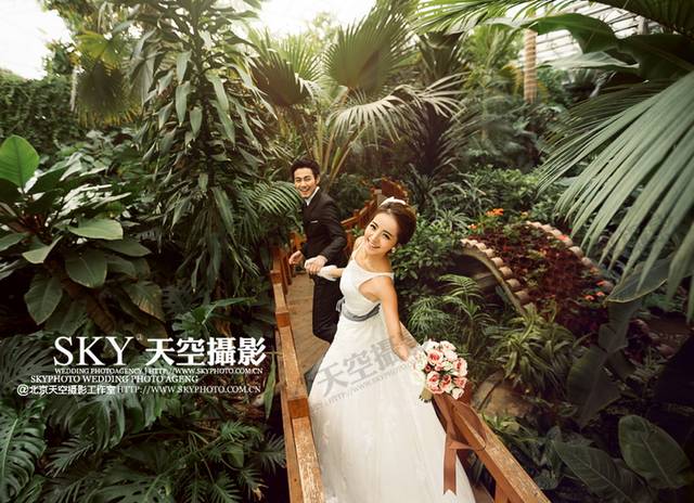 植物婚纱照_婚纱照图片室内